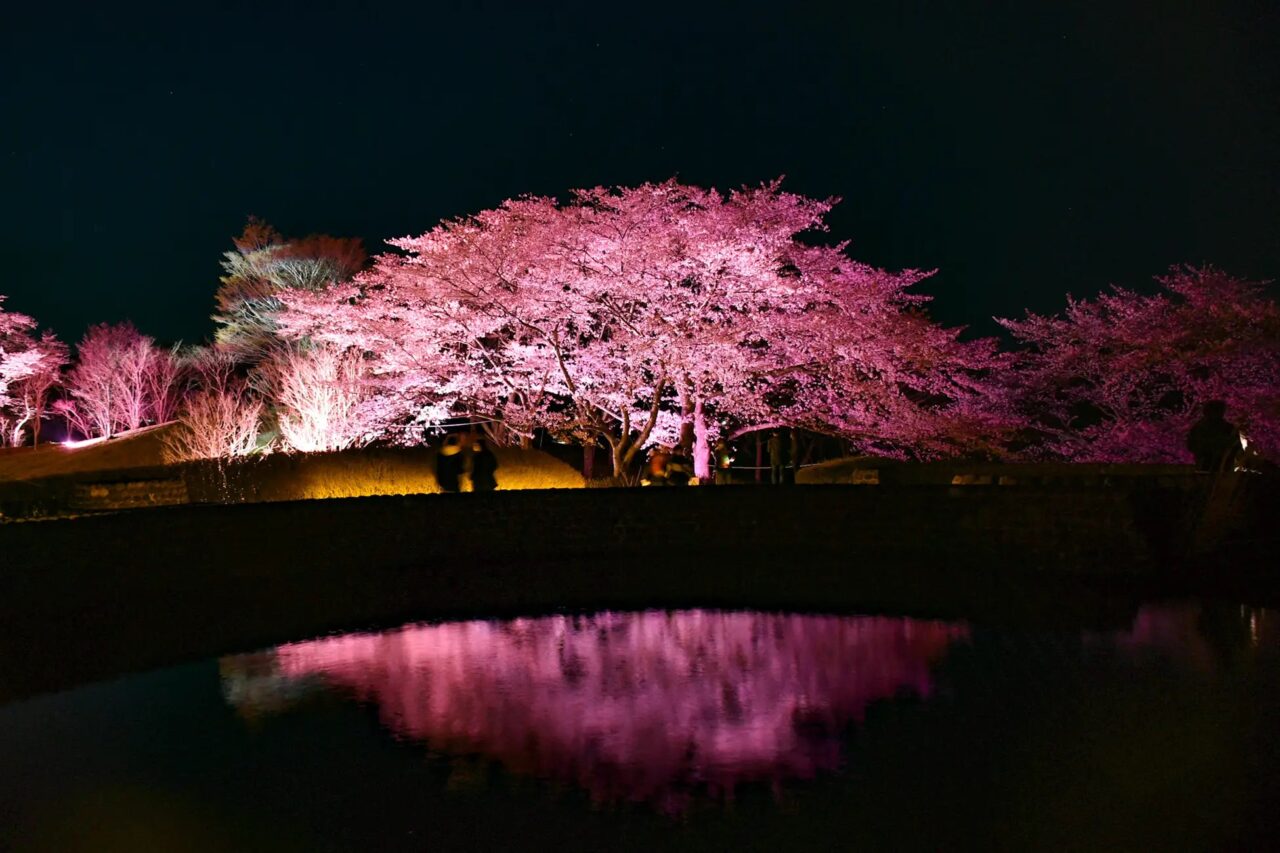 みちのく花明かり