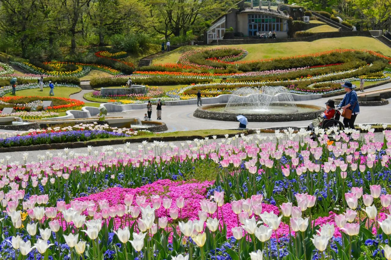 春の花景色(彩りのひろば)