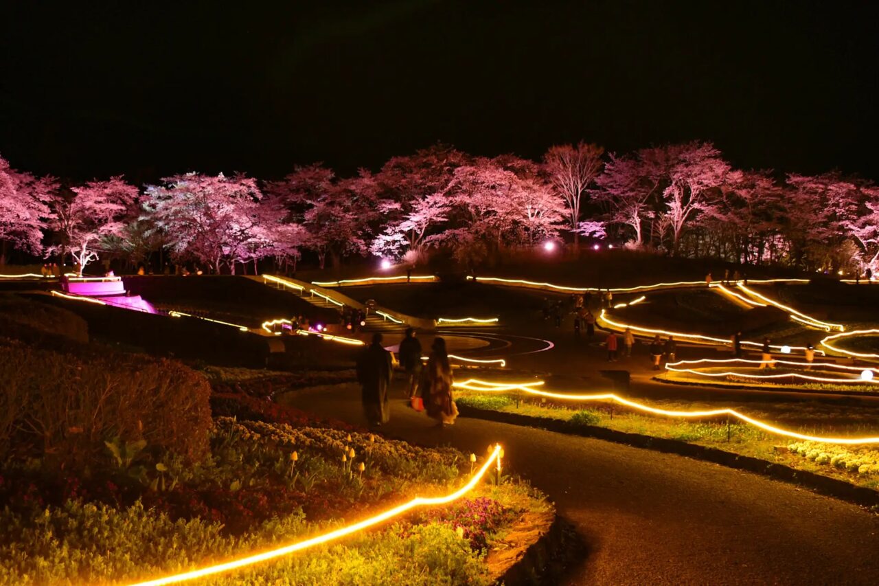 みちのく花明かり