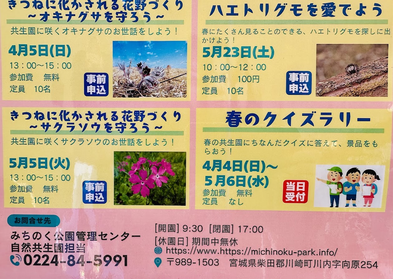 春のプログラム