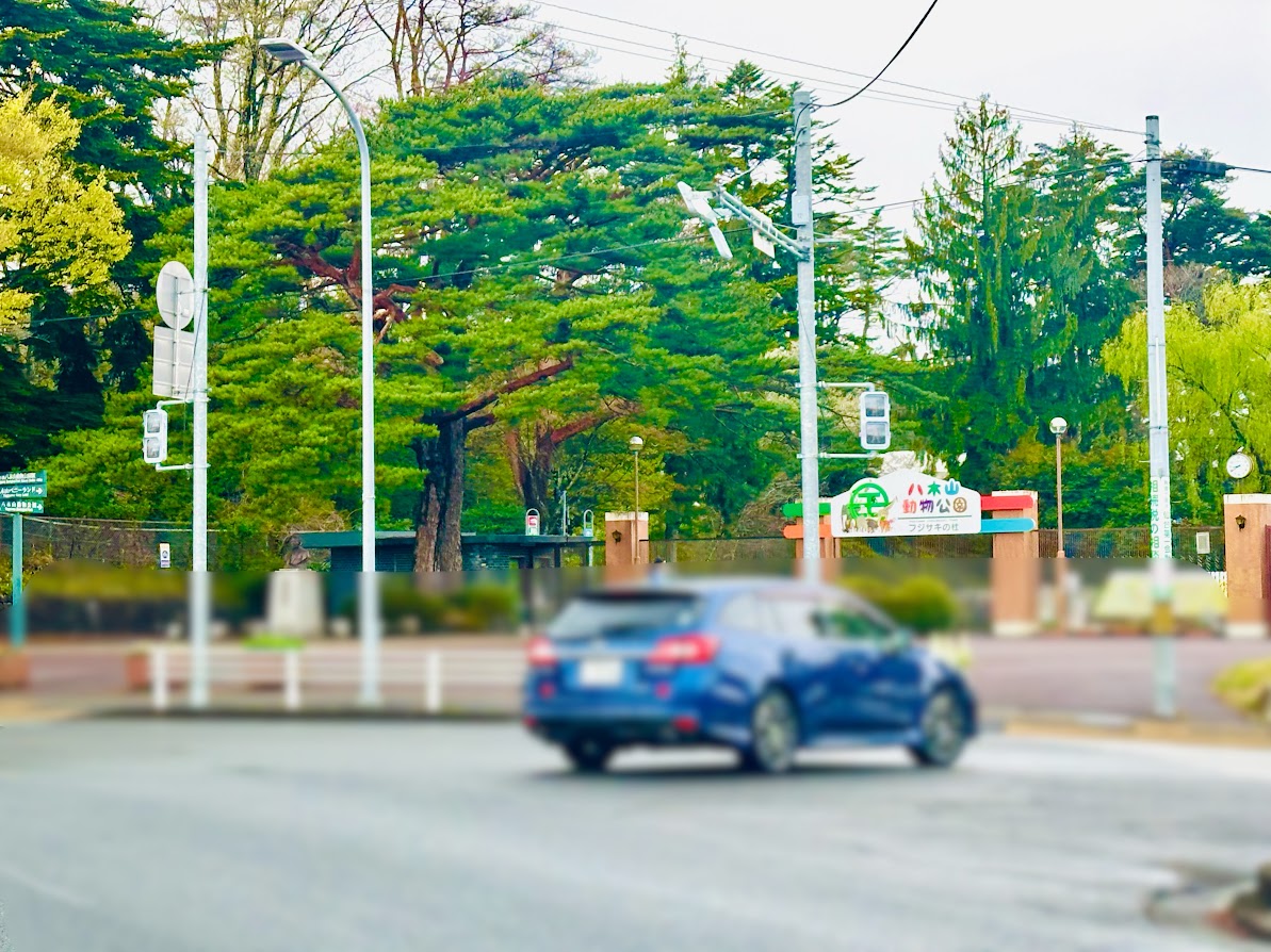 八木山動物公園前交通規制