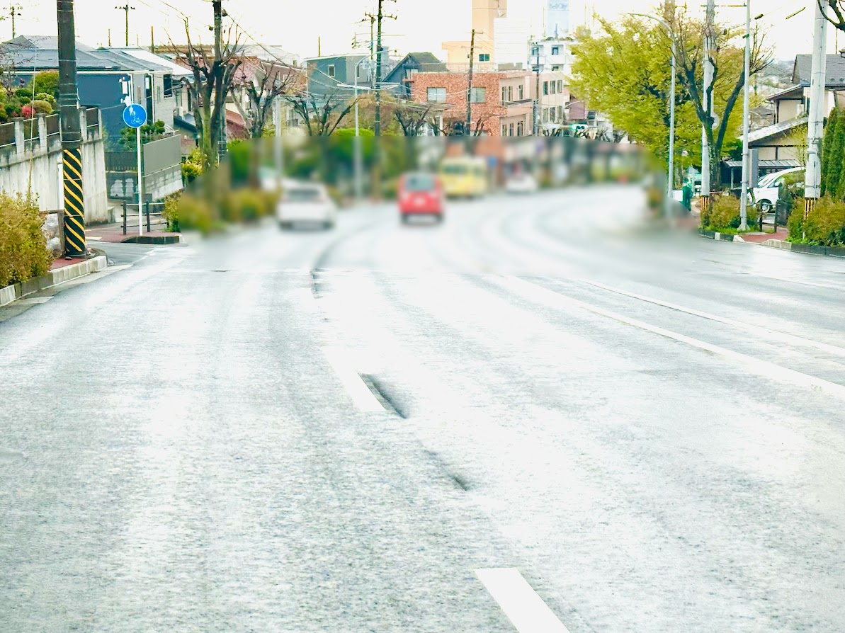 八木山動物公園付近駐車禁止一時解除