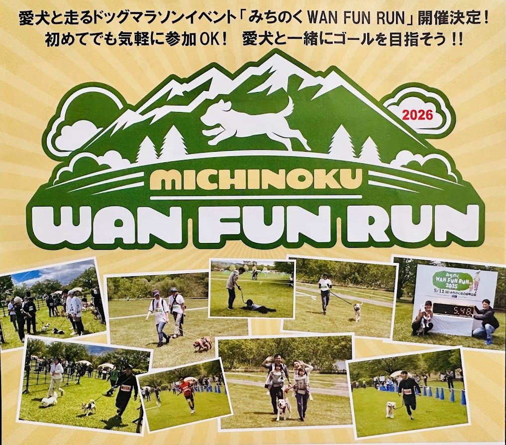 みちのくWAN FUN RUN