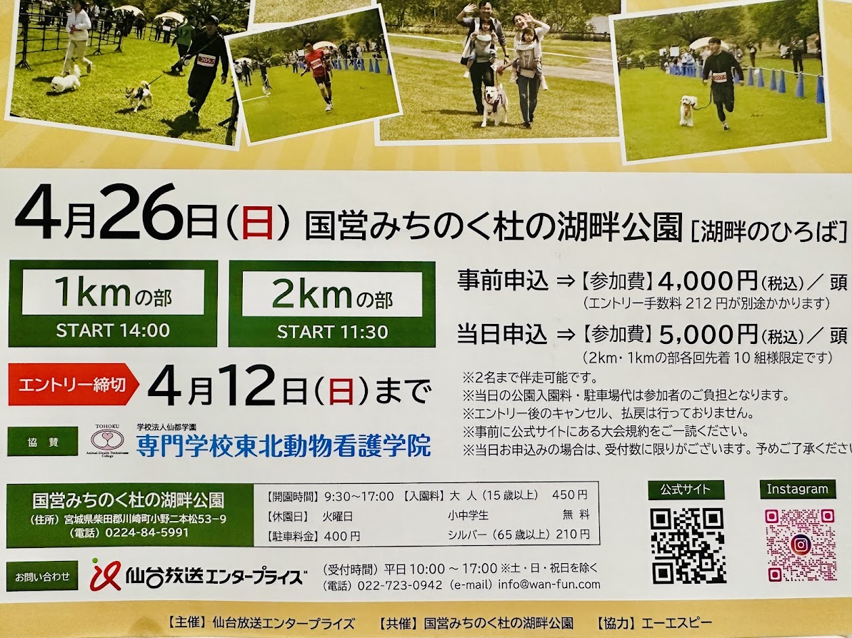 みちのくWAN FUN RUN