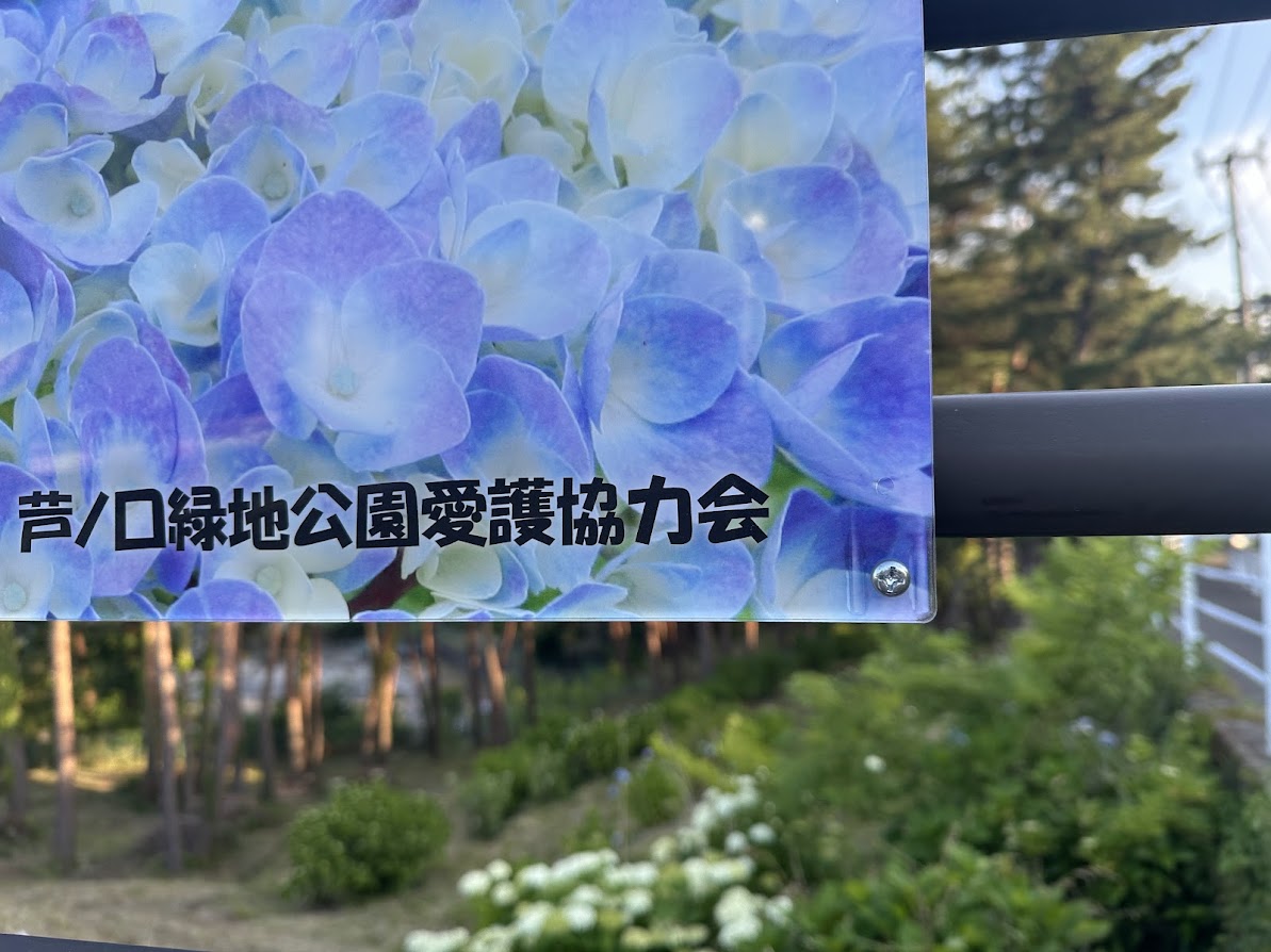 芦ノ口緑地(あじさい公園)