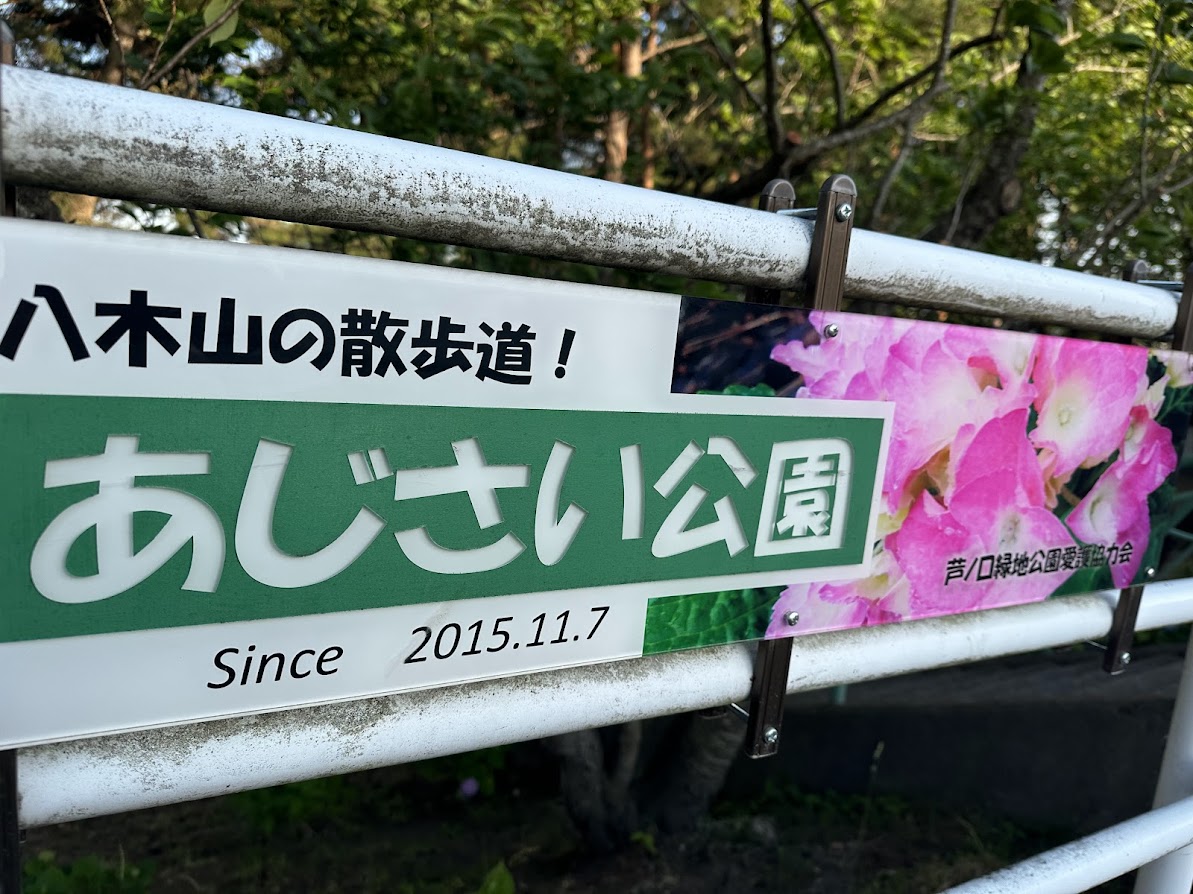芦ノ口緑地(あじさい公園)