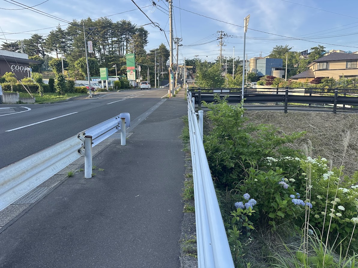 芦ノ口緑地(あじさい公園)