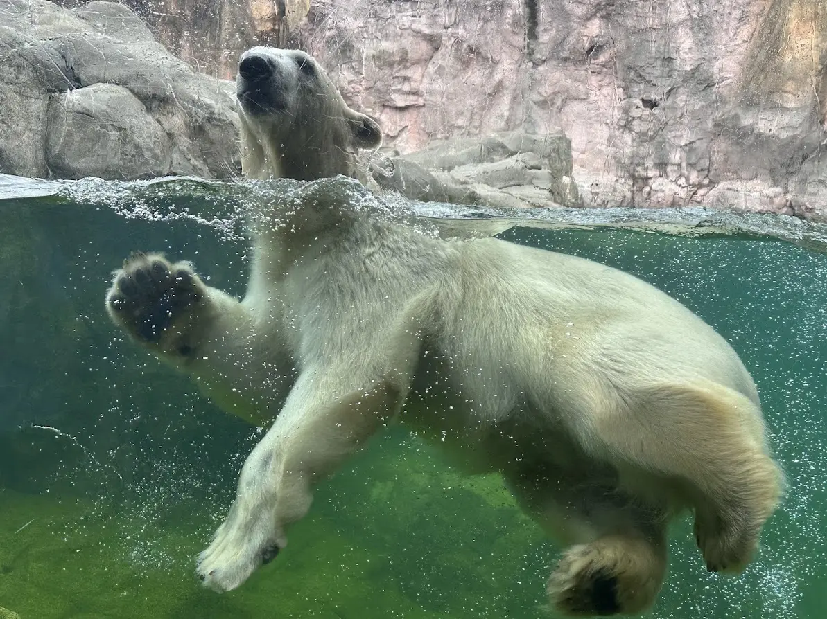 八木山動物公園