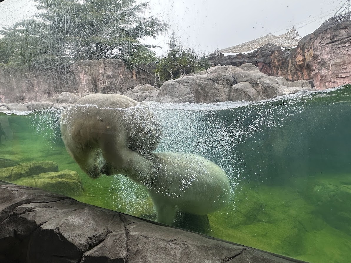 八木山動物公園