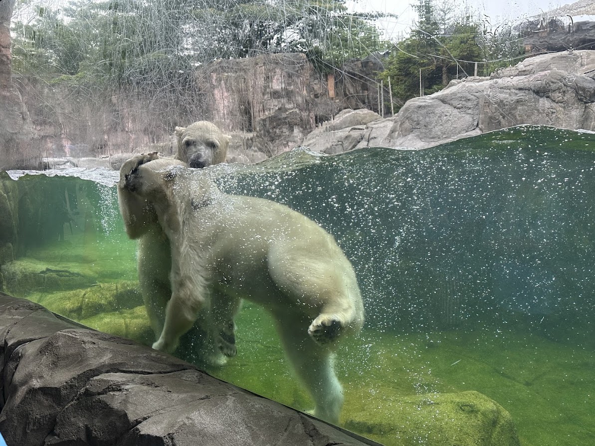 八木山動物公園
