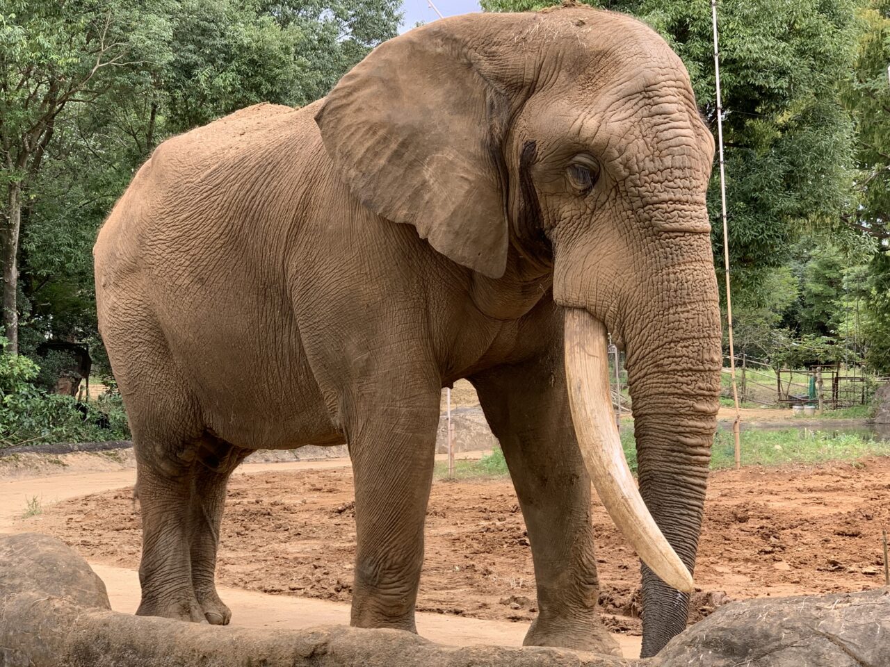 八木山動物公園