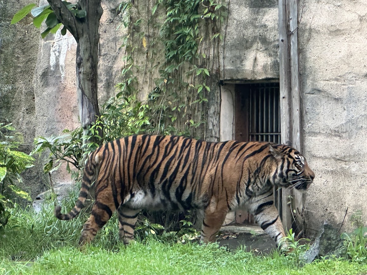八木山動物公園