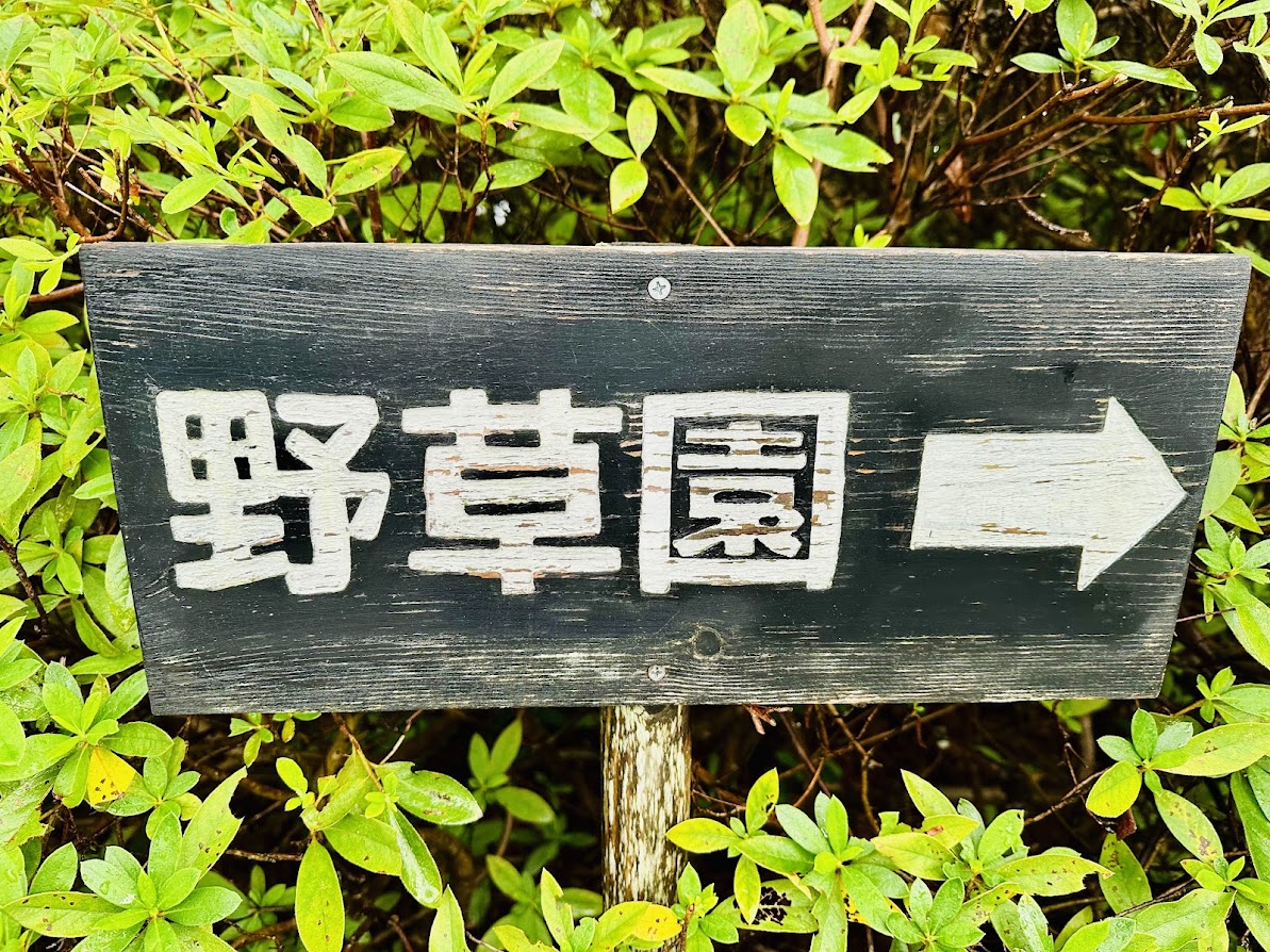 仙台市野草園