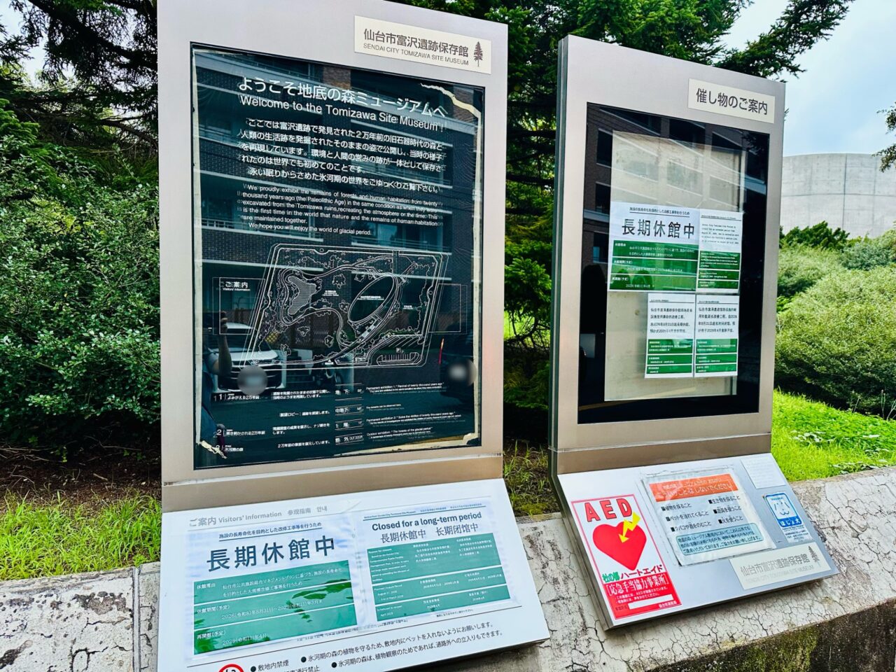 地底の森ミュージアム