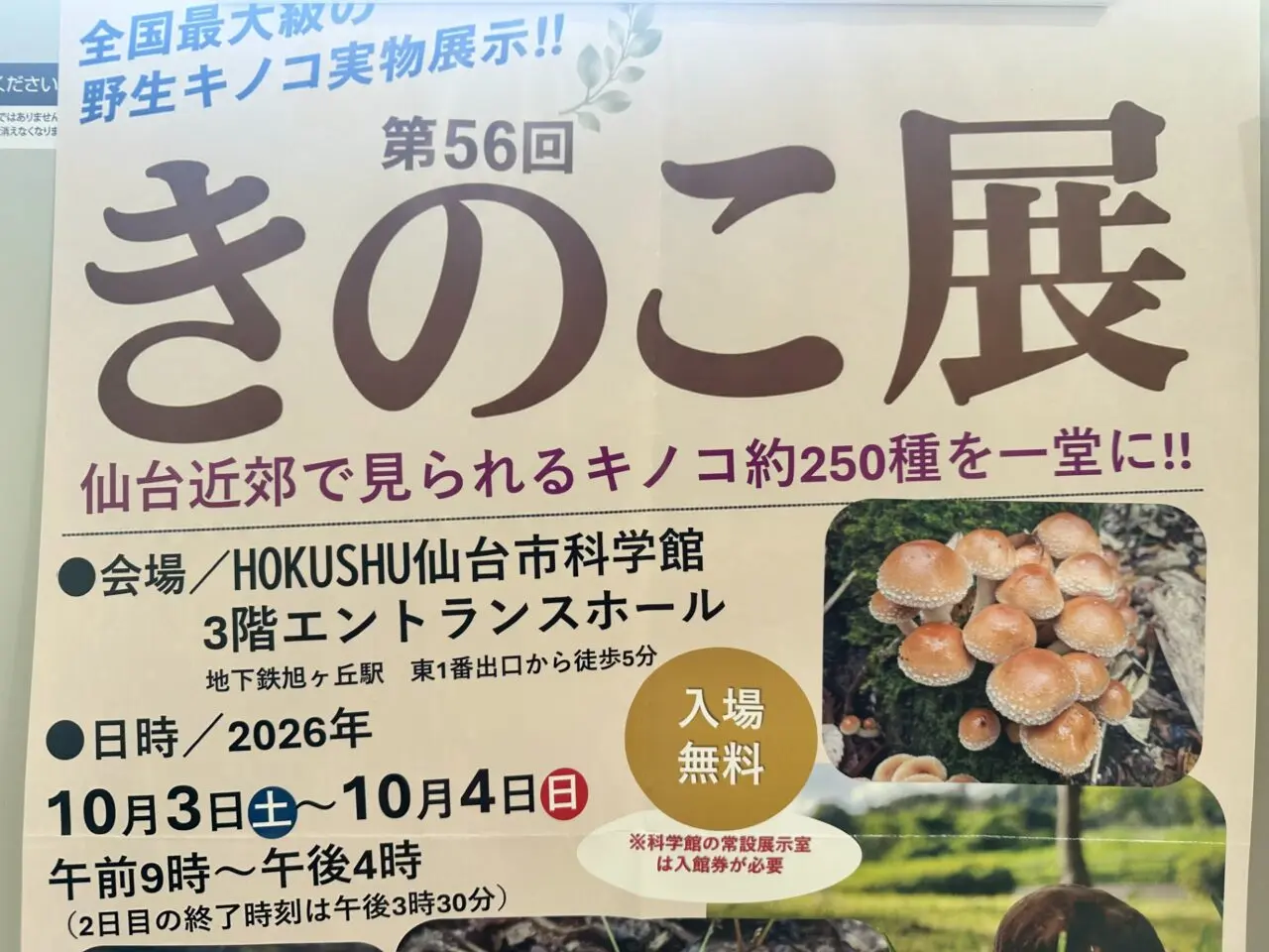 きのこ展